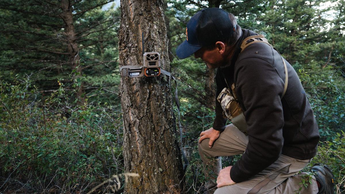 Why Trail Cameras Don’t Always Tell the Truth