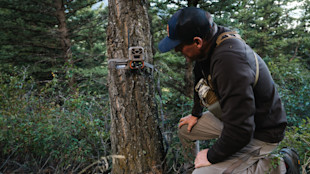 Why Trail Cameras Don’t Always Tell the Truth