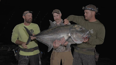 Hawaii Giant Trevally