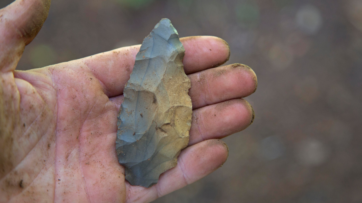 where to find native american arrowhead