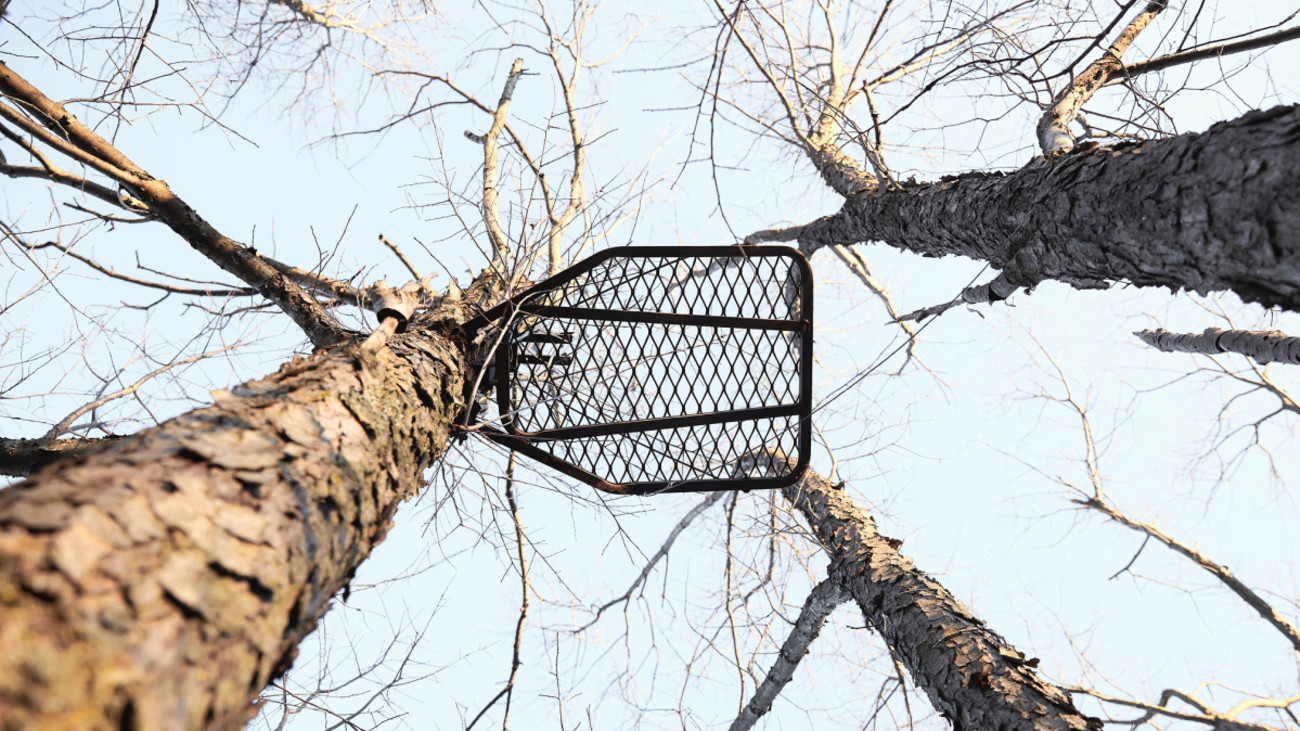 3 Cheap Ways to Silence Tree Stands