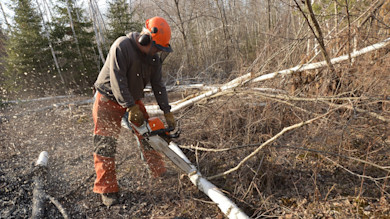 3 Simple Land Improvement Projects that Will Help You Kill More Bucks