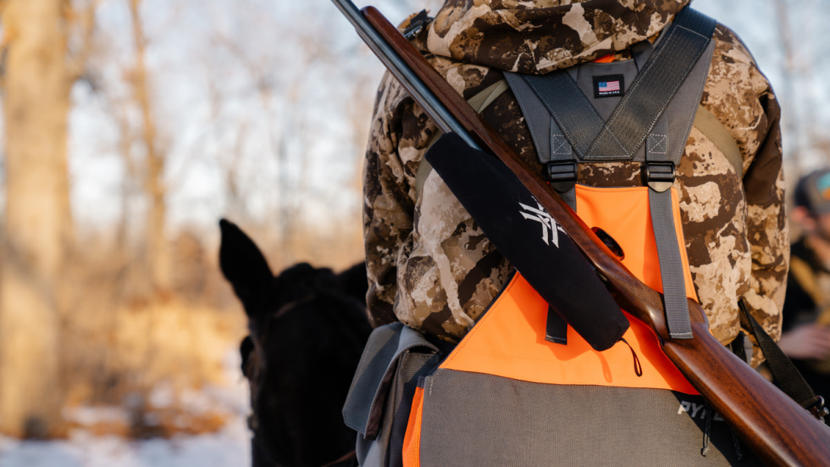 22 Long Rifle vs. .22 Short - Caliber Battle