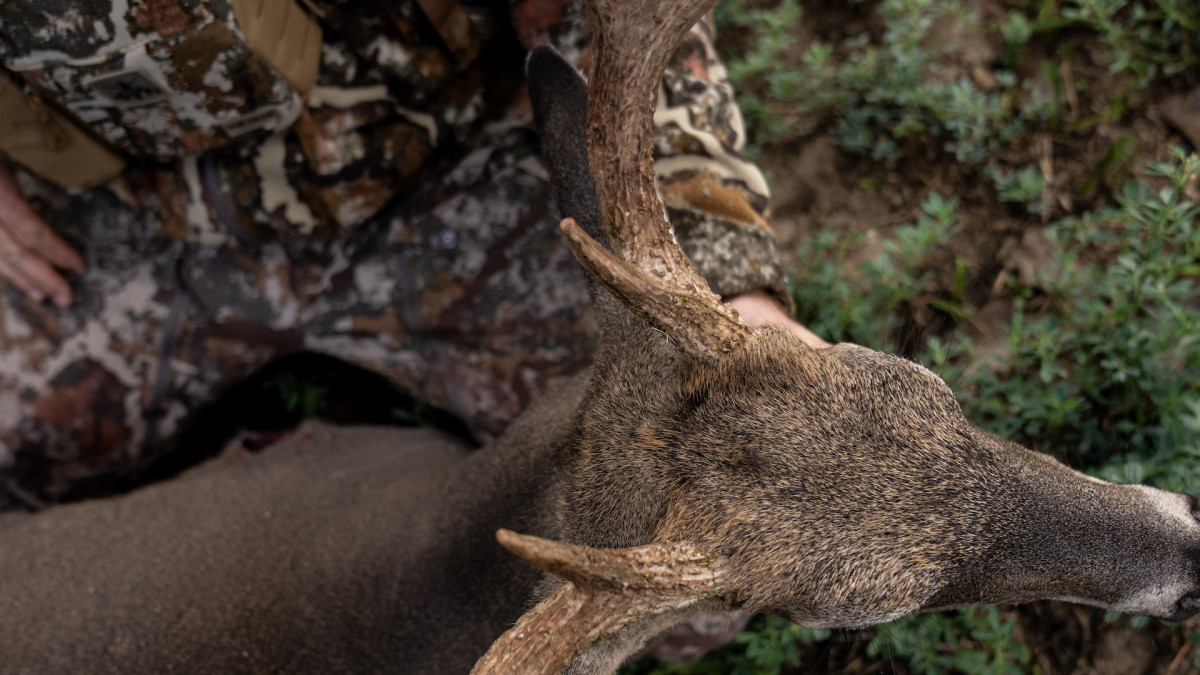 What Makes The Most Memorable Hunts?