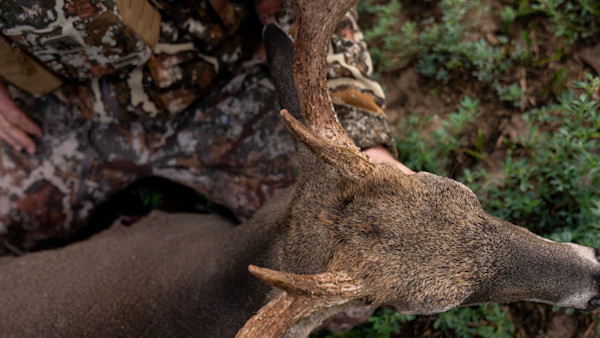 What Makes The Most Memorable Hunts?