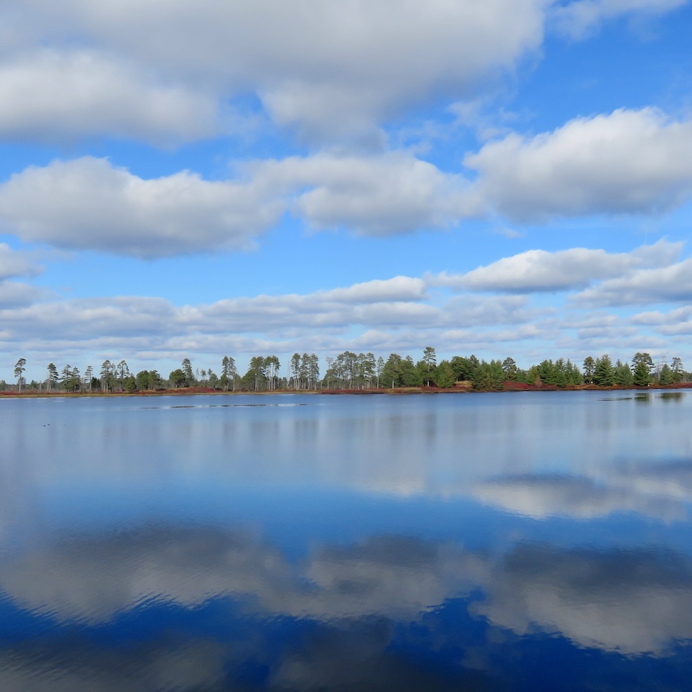 Seney National Wildlife Refuge