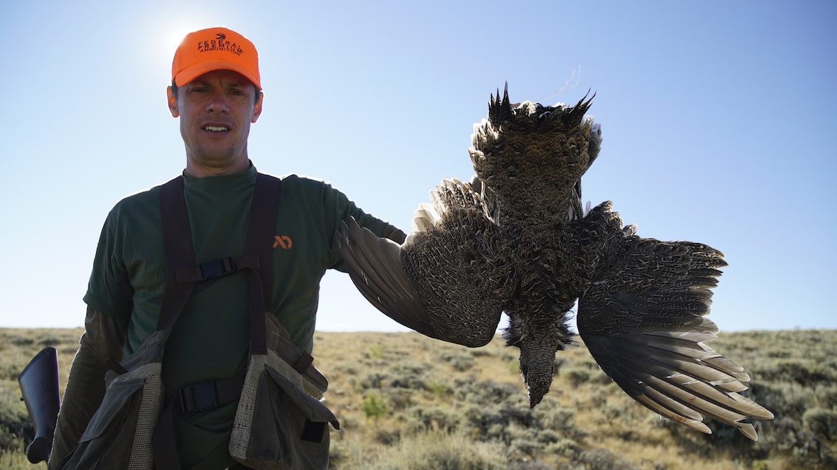 Federal Judge Voids 1 Million Acres of Oil and Gas Leases in Sage Grouse Fight