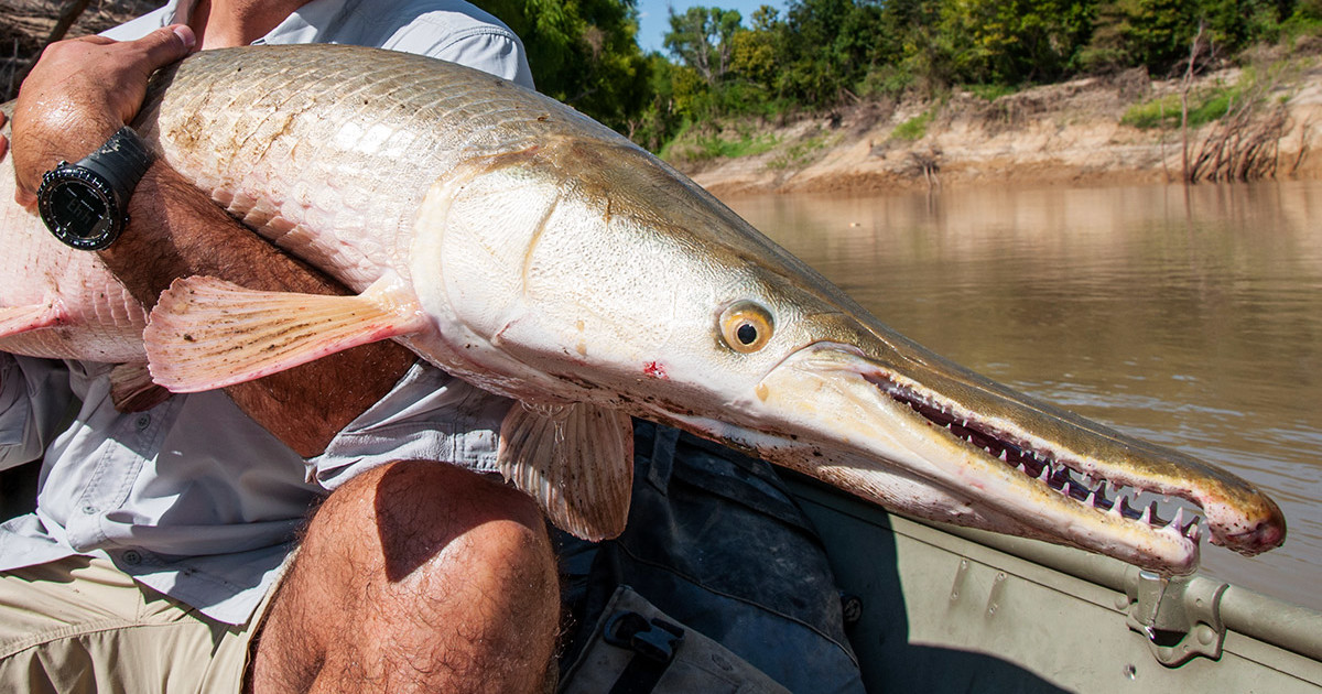 Gear and tactics by species: what to bring and how to fish