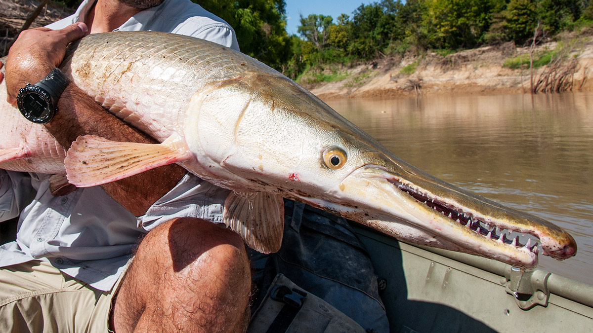 5 American Fish You Need to Catch in Your Lifetime