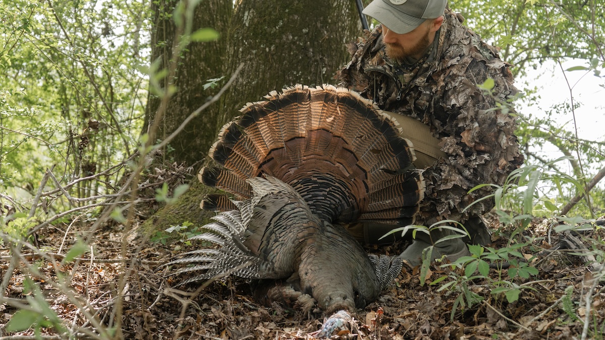 Description of image