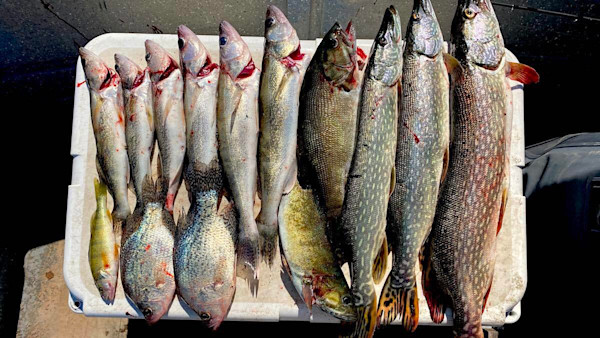 The World’s Most Versatile Fishing Lure