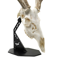 MeatEater Skull Pedestal Mount