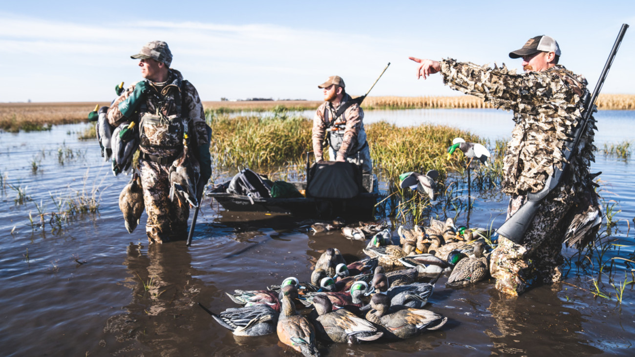 How and When to Hunt a Duck Roost