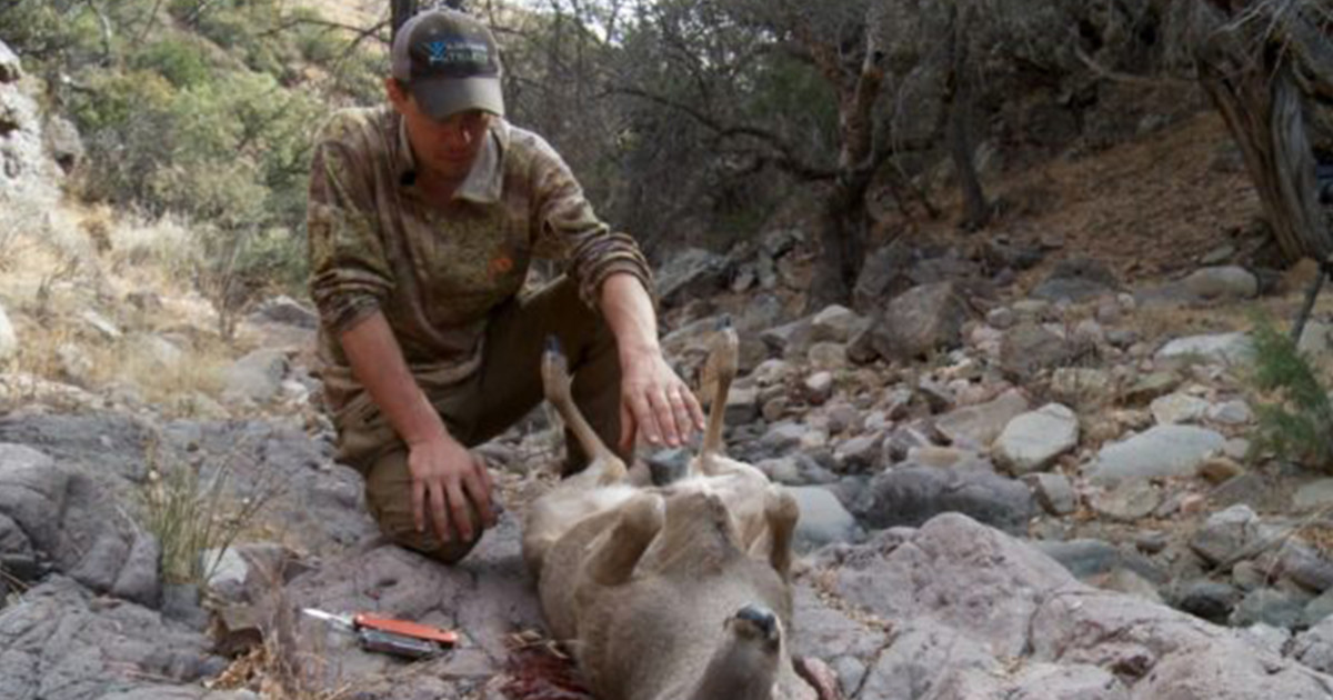 Field Tips for Gutting a Big Game Animal | MeatEater Hunting