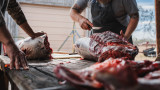 How to Care for Venison in Hot Weather