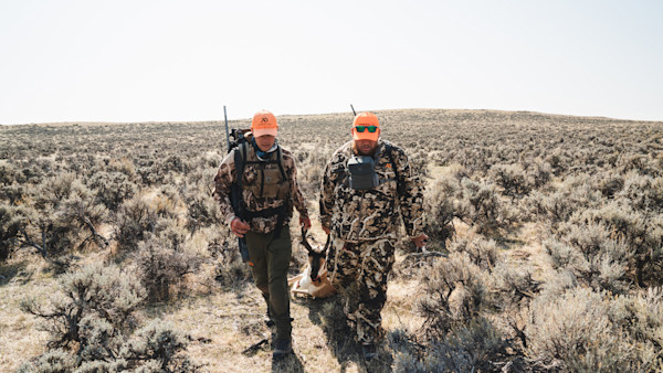 5 Best Antelope Cartridges