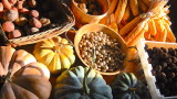 How to Prepare Your Garden's Harvest for Winter Storage