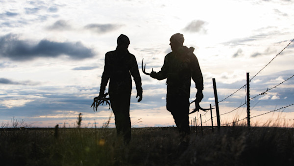 How to Be a More Efficient Shed Hunter