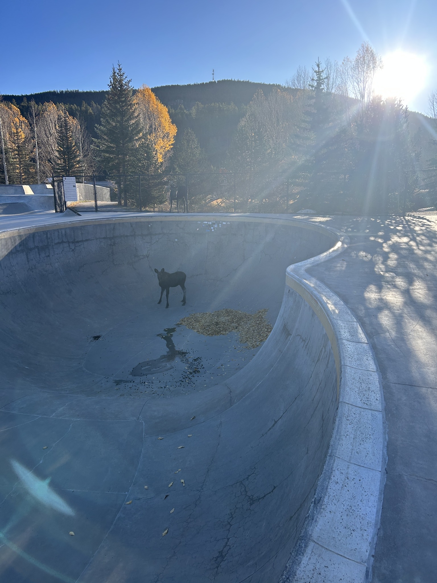 564162903 1248062057360889 7954564346556824155 n