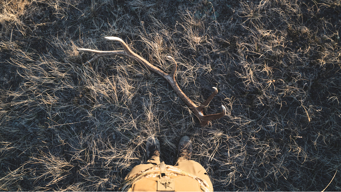 3 Guaranteed Places to Find Elk Sheds MeatEater Hunting