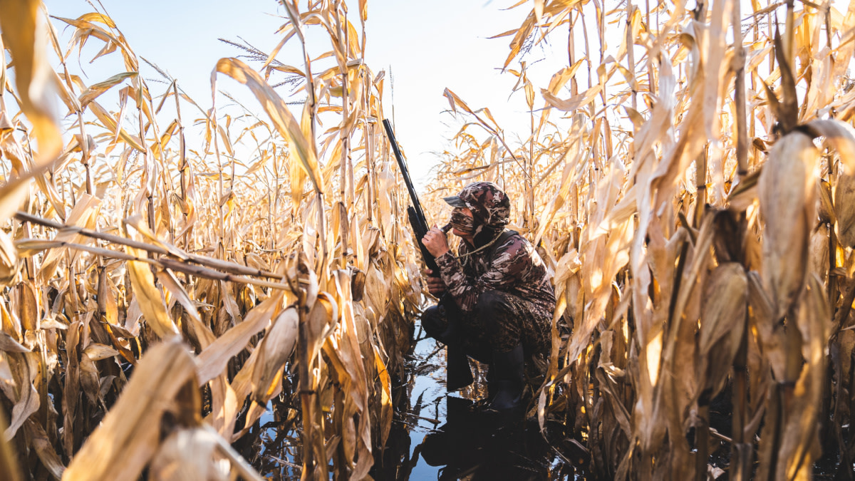 How to Stay Hidden from Ducks and Geese