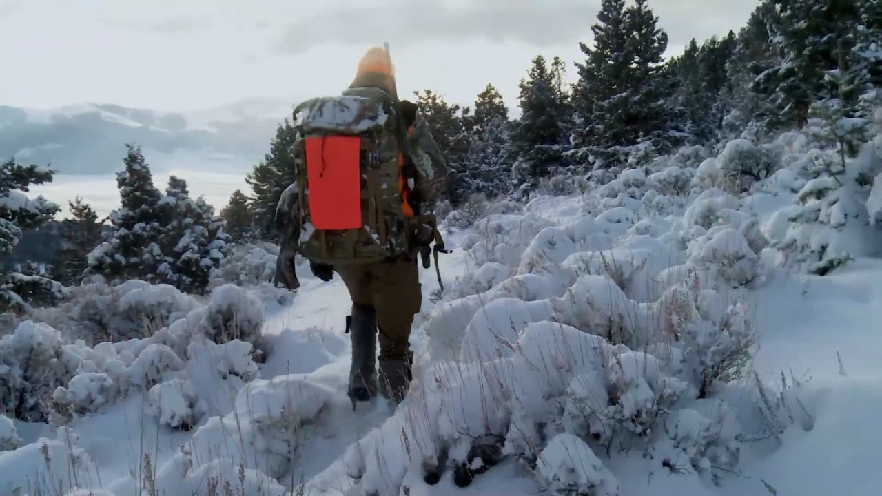 Local Motion: Montana Bull Elk | MeatEater Season 4