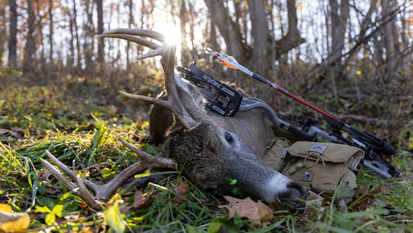 How to Bow Hunt During the Gun Season