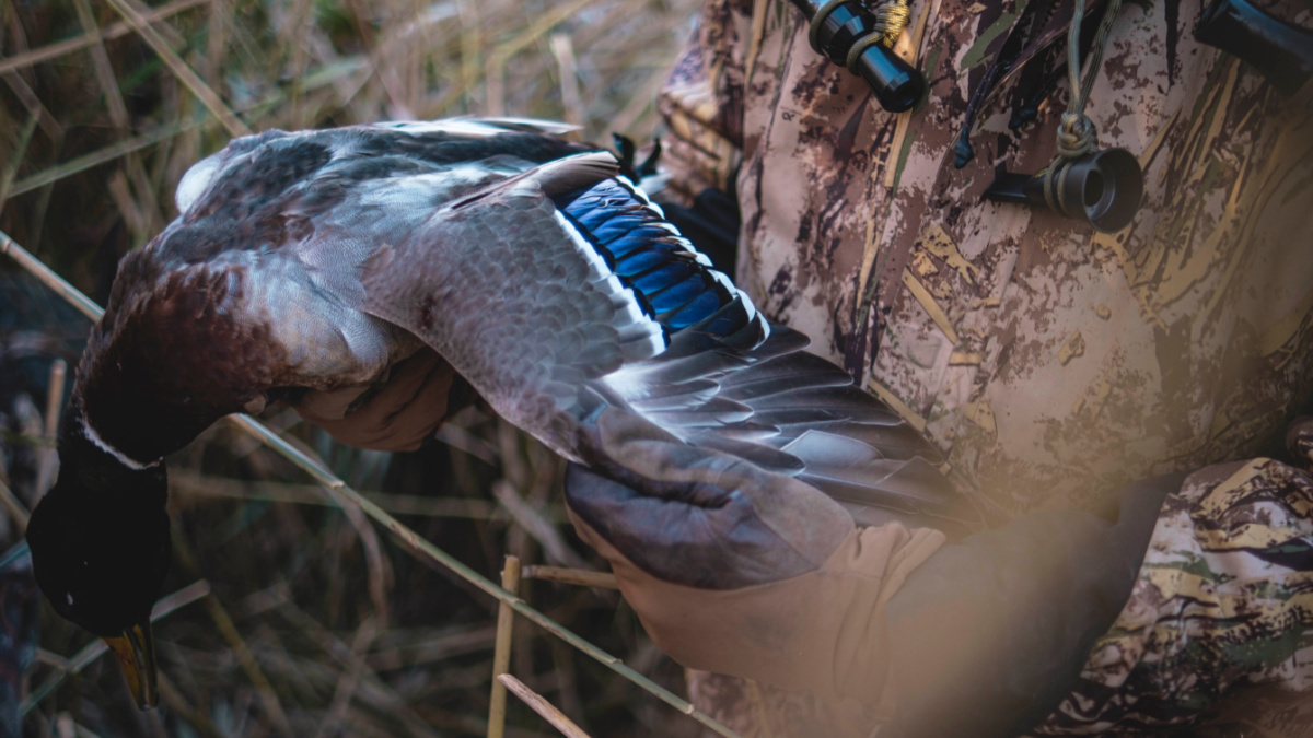 First Lite's New Camo Pattern is Perfectly Designed for