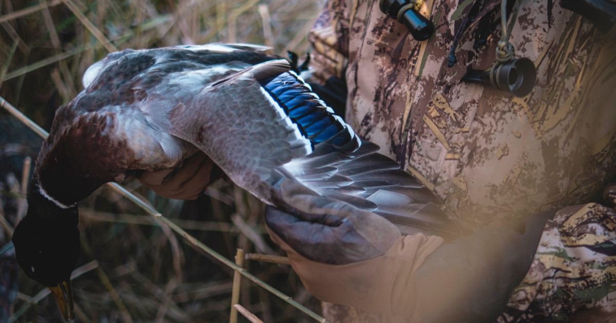 First Lite's New Camo Pattern is Perfectly Designed for Waterfowlers ...