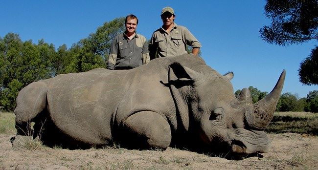 Ego Money Smiles And Outrage The Mainstream Medias Trophy Hunting