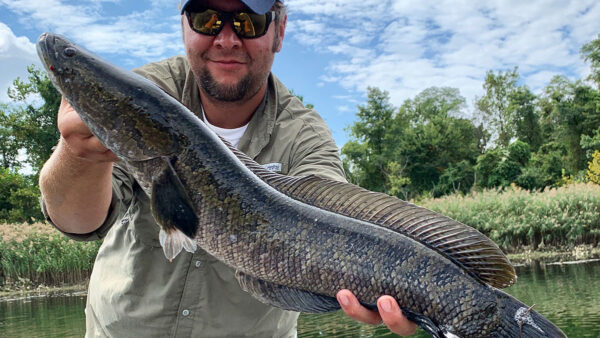 Shore bruiser caught, Asian carp hate glam rock, When Down Imaging