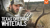 Texas Oregano Whitetails