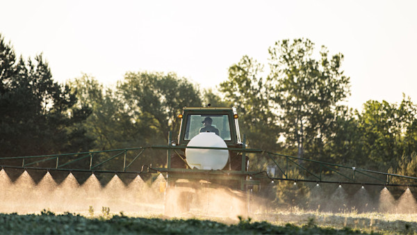 Ask Wired To Hunt: Can Herbicides and Conservation Coexist?