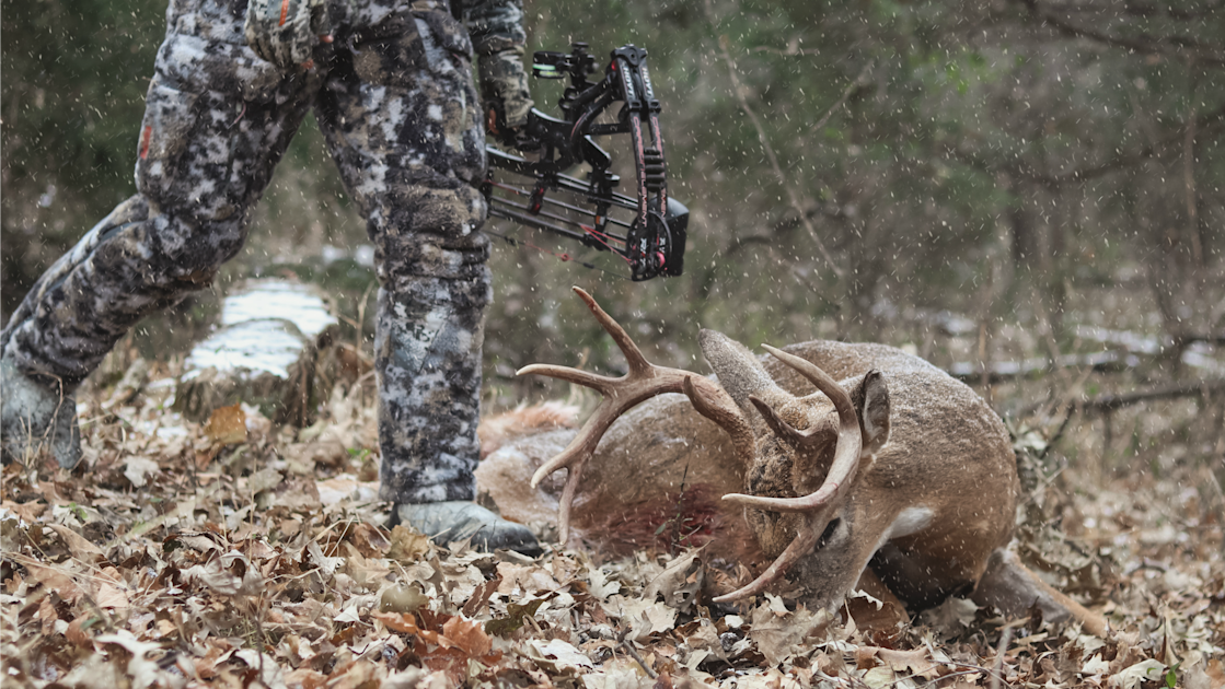 What To Do When You Plan On Getting A Deer Mounted Meateater Hunting 9730