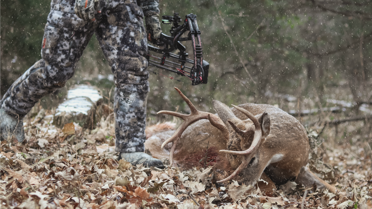 Brisket Shot Deer: Secrets of a Perfect Hunt