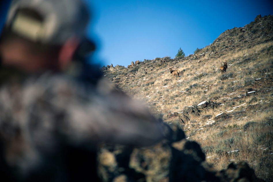 a OneRifleHunter MeatEater Hunting