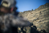 Becoming a One-Rifle-Hunter
