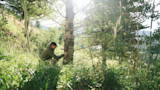 Plan Now for Deer Hunting Success This Fall