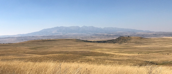 2017 Journal #1: My First 2017 Hunt & The Season Plan Moving Forward