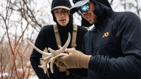 3 Things You Can Learn from Whitetail Sheds