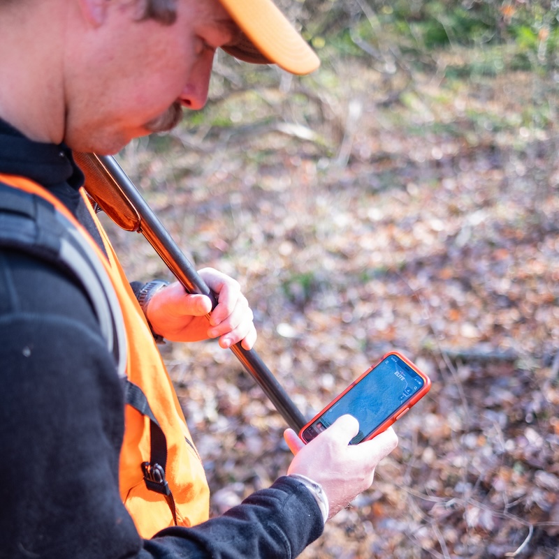 scouting for woodcock