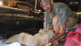 Bowfisherman Kills Capybara in Illinois