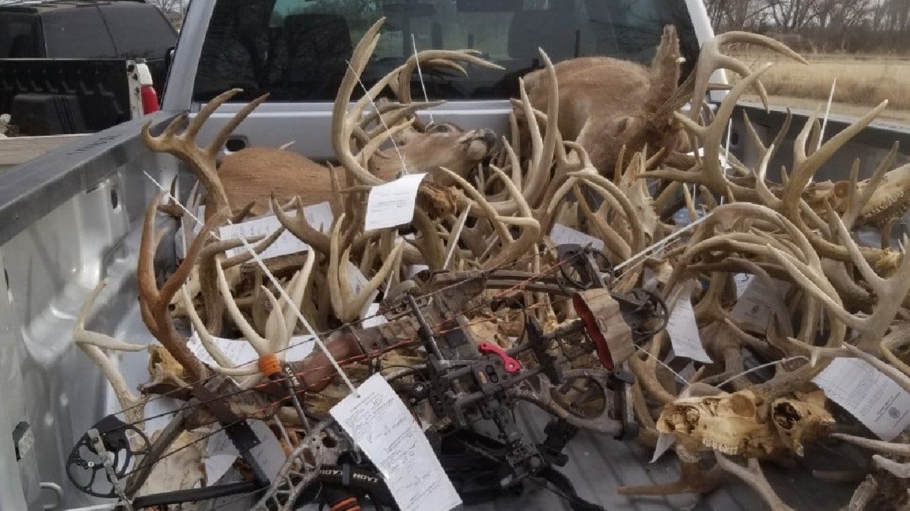Kansas Man Faces Jail Time for Poaching 60 Deer