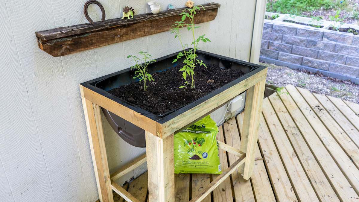 Image of Raised garden bed made from old barrels
