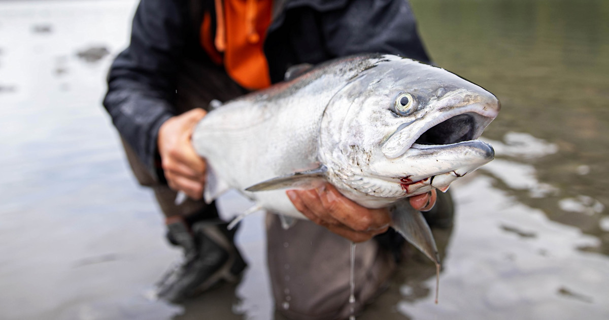 New Proposals Jeopardize BC Fishing Opportunities New Proposals Jeopardize BC Fishing Opportunities