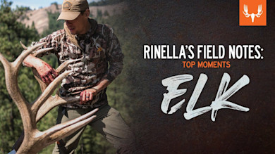 Steve's Greatest Elk Hunts