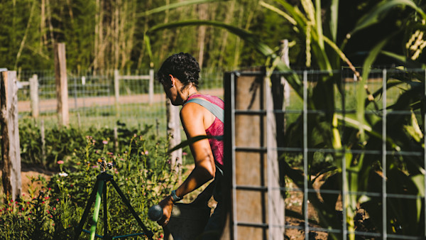 Video: How to Plant a Fall Garden