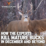 Ep. 981: How the Experts Kill Mature Bucks in December and Beyond
