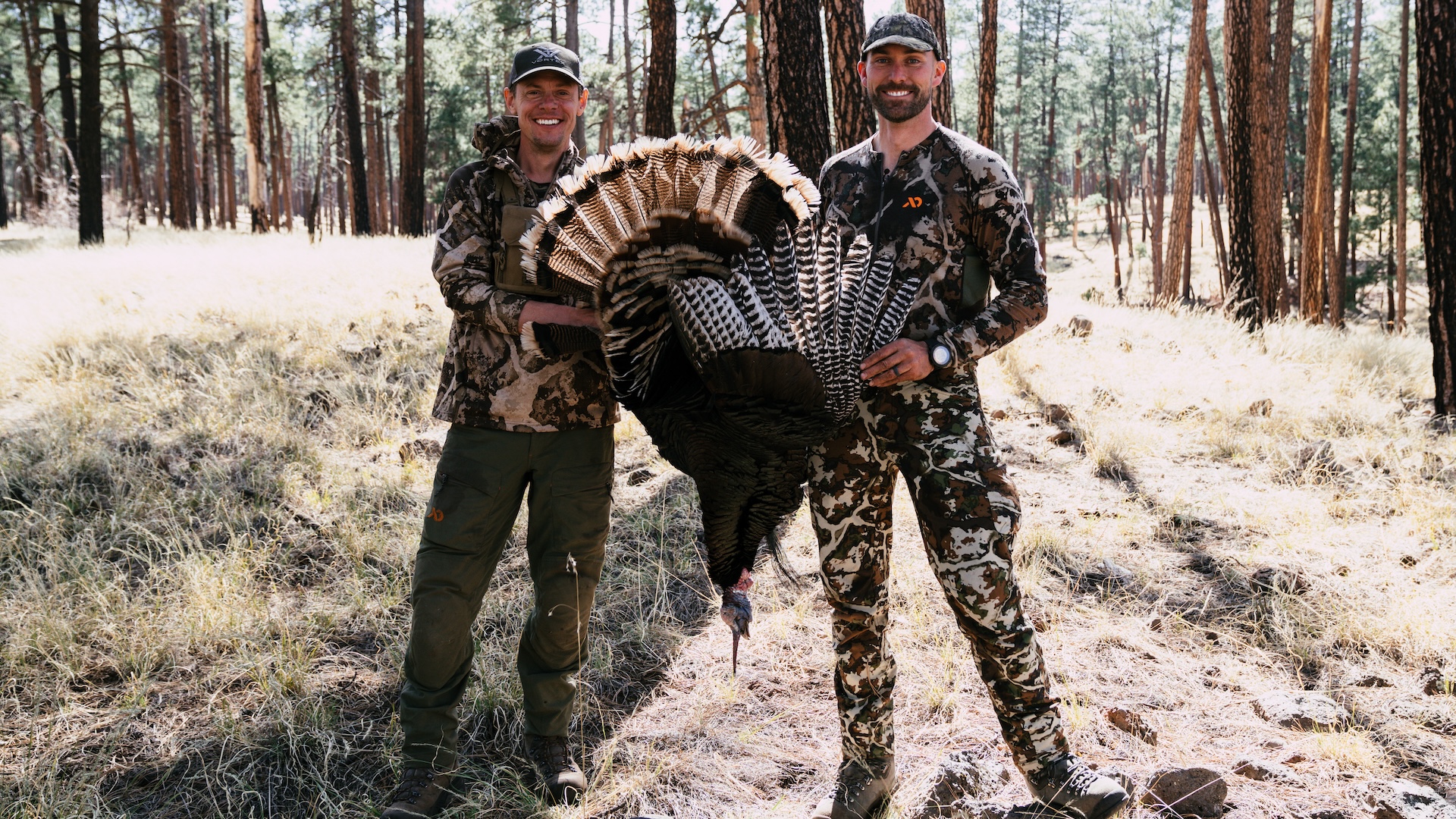 Description of image