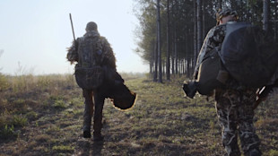 South Carolina Turkeys